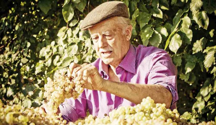 Amberlair Crowdsourced Crowdfunded Boutique Hotel Emdio Pepe Amberlair Crowdsourced Crowdfunded Boutique Hotel - Emdio Pepe at his vineyard in Torano Nuovo Abruzzo, Italy